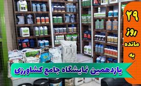 رویارویی و تعامل شرکت‌های تولیدکننده در نمایشگاه یازدهم

