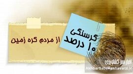 گرسنگی و ناامنی غذایی در جهان: ۱۰ درصد جمعیت در صف بقا!