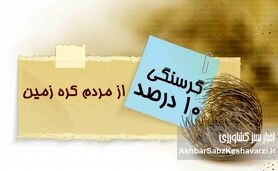 گرسنگی و ناامنی غذایی در جهان: ۱۰ درصد جمعیت در صف بقا!
