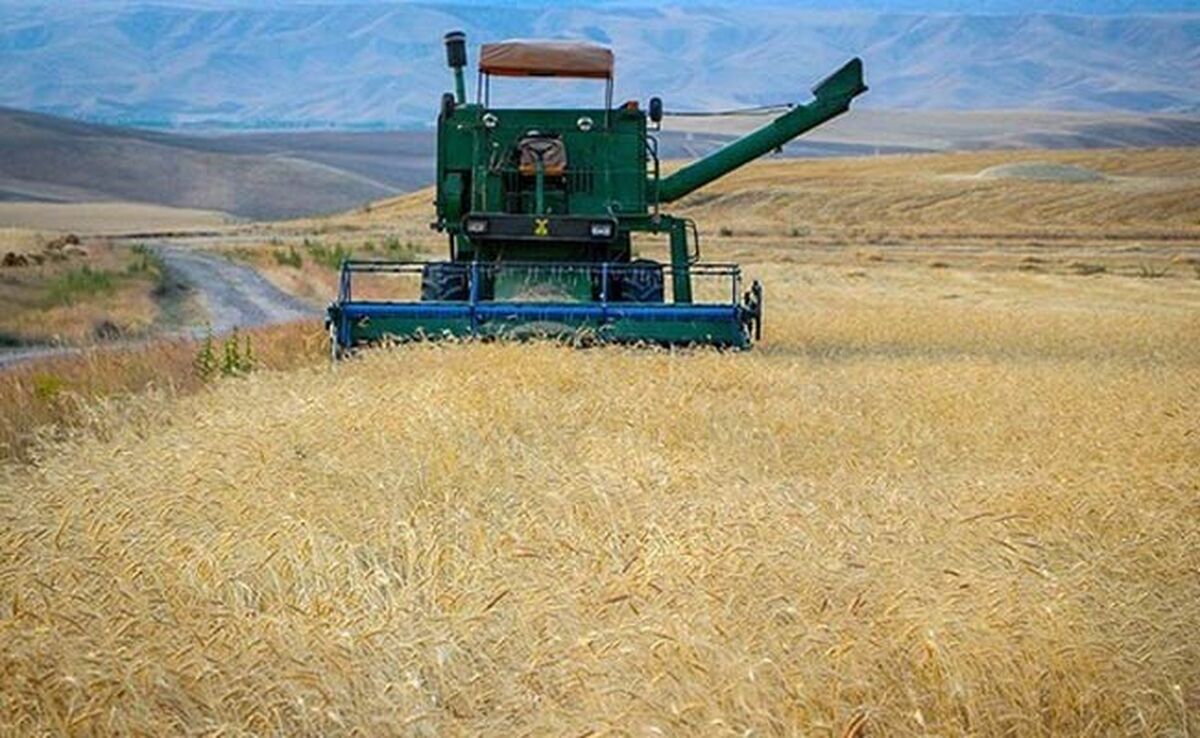 تاکید بر کشت قراردادی در لایحه بودجه ۱۴۰۴

