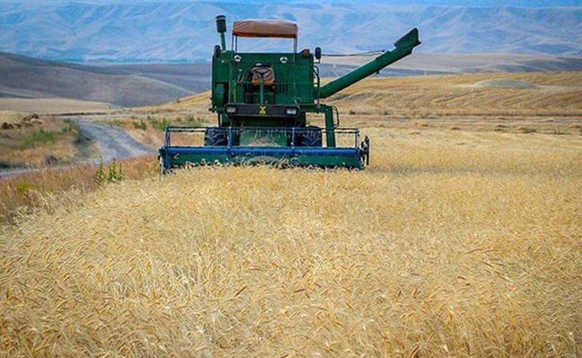 تاکید بر کشت قراردادی در لایحه بودجه ۱۴۰۴

