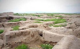 کنترل بیابانزایی و تثبیت شن‌های روان، نیازمند عزم ملی