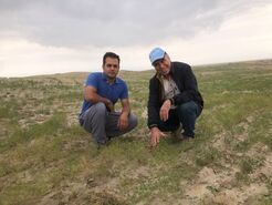 زیره سبز گیاهی دارویی با ارزش افزوده بسیار بالا+ ویدئو

