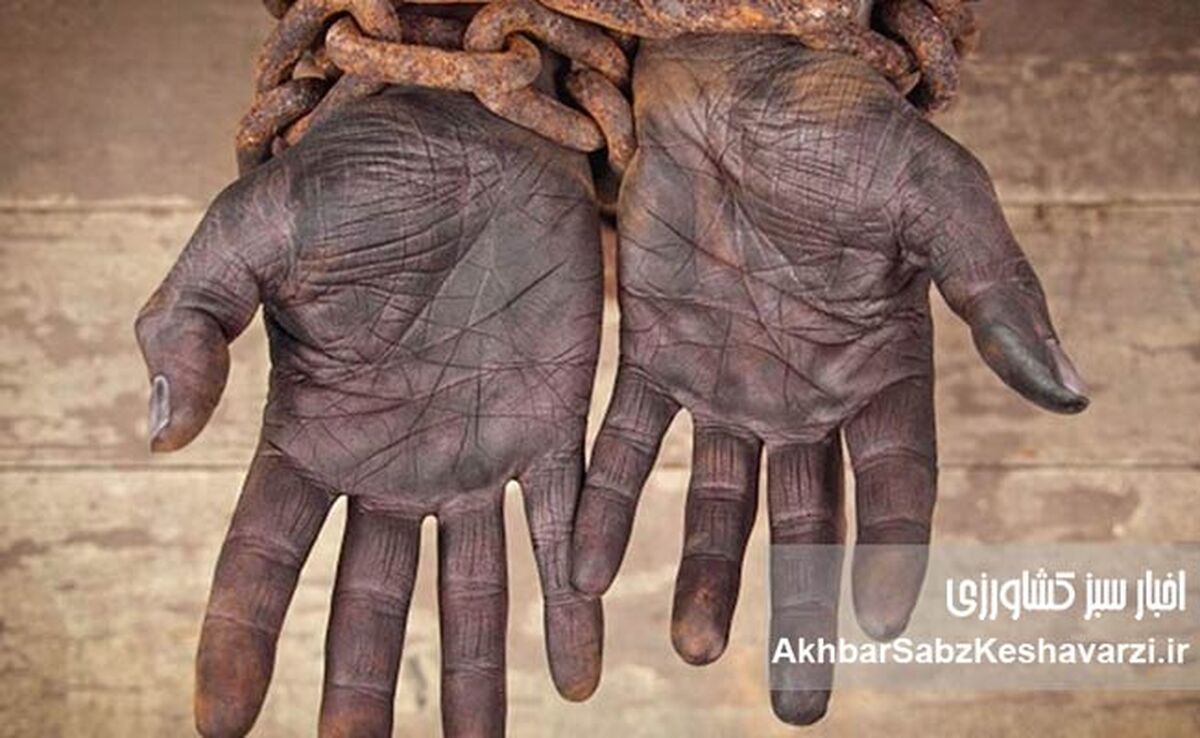 برده‌داری در آمریکا؛ روایتی از تجارت انسان تا جنگ داخلی