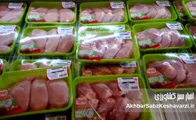 کاهش ۳۰ درصدی قیمت مرغ؛ راهکار مجلس چیست؟