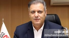  قیمت عمده برنج پاکستانی و هندی بالا رفت؛ هر کیلو چند؟