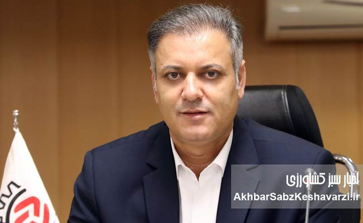  قیمت عمده برنج پاکستانی و هندی بالا رفت؛ هر کیلو چند؟