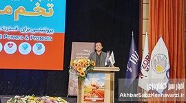 مرادی: امنیت غذایی کشور مدیون تلاش‌ شبانه‌روزی مرغداران است