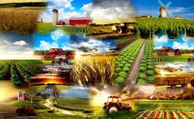 آغاز سرشماری بخش کشاورزی به زودی

