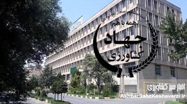 فروپاشی مشروعیت علمی در مغز نظام کشاورزی/ وقتی تبارنامه جای شایستگی را می‌گیرد