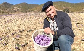 زعفران روستای وامنان، سالم‌ترین زعفران کشور+ ویدئو

