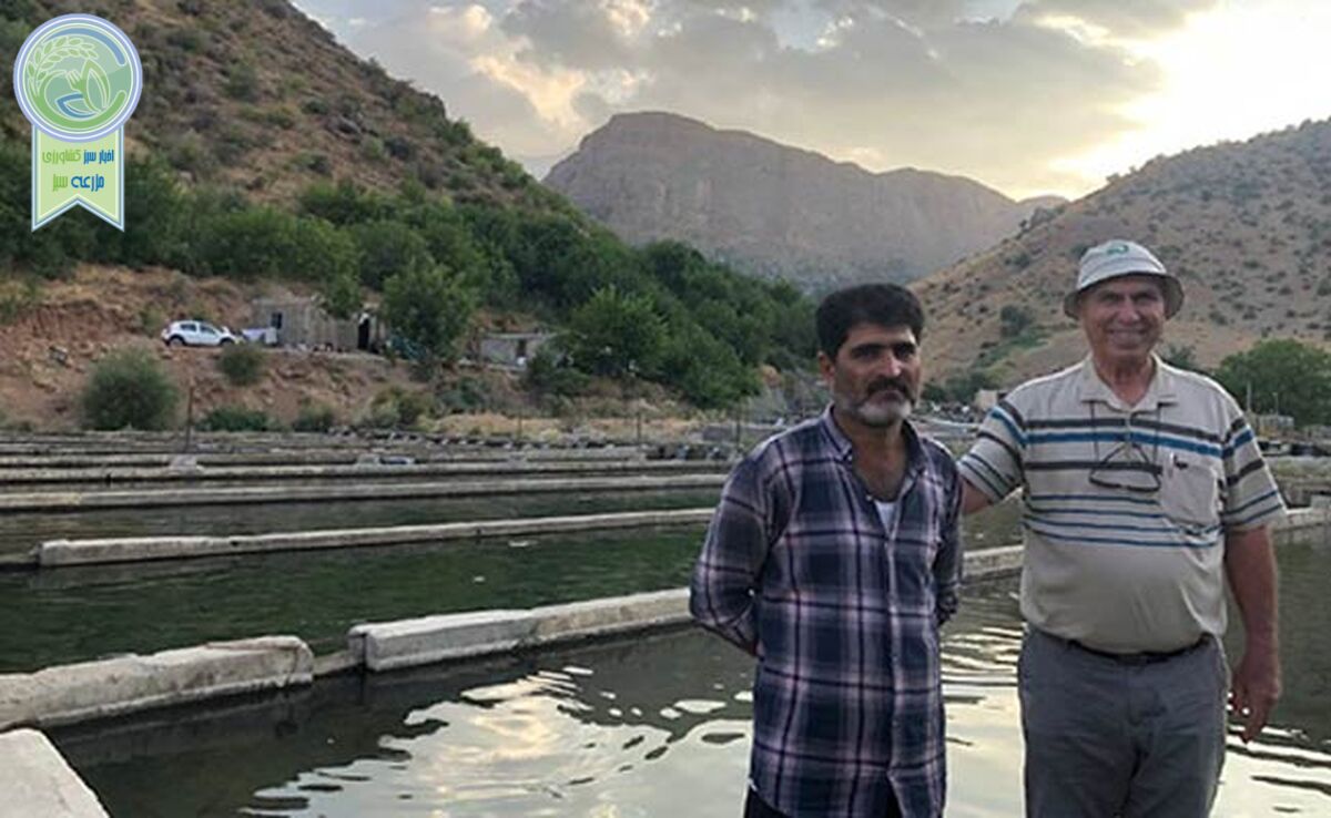 خلاقیت در تولید برق پاک در یک کارگاه پرورش ماهی+ ویدئو

