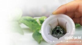 کنترل جلبک در هیدروپونیک: راهنمای جامع مقابله با دشمن پنهان ریشه گیاهان+ اینفوگرافی 