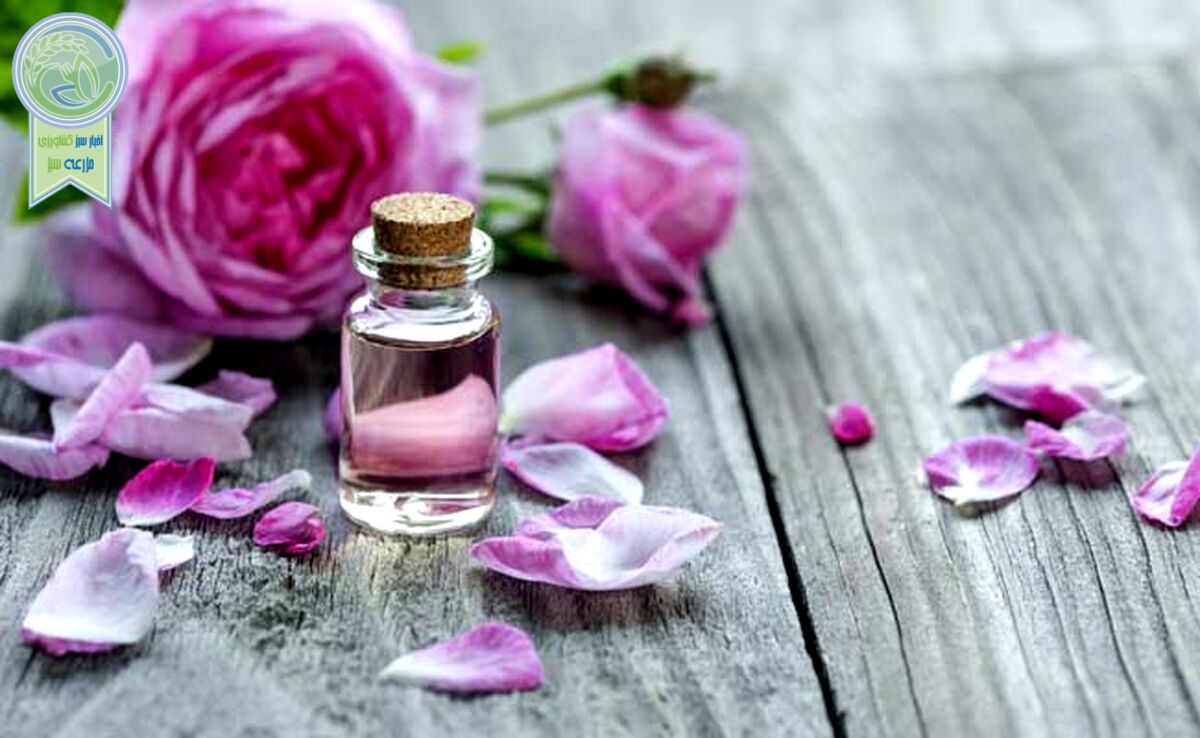 صادرات عطر ایران به فرانسه

