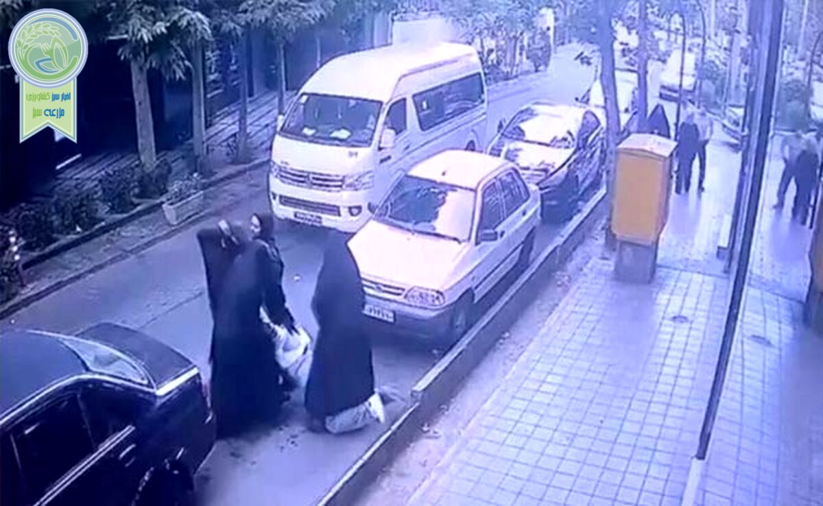 واکنش سردار رادان به برخورد خشونت‌آمیز ماموران گشت ارشاد با دختر نوجوان+ ویدئو

