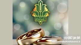 پرداخت ۶۸.۷ هزار میلیارد ریال وام ازدواج و فرزندآوری