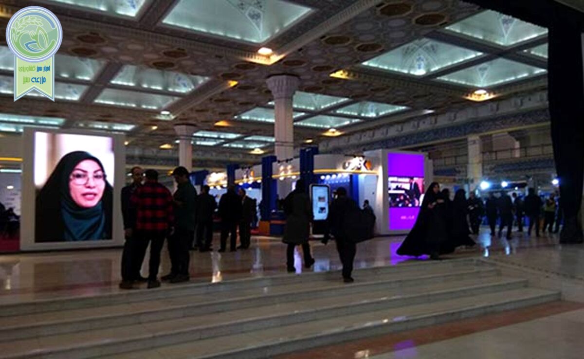 فقط بهتر از هیچ چیز

