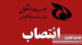  ورود محکومان اقتصادی از صندوق بازنشستگی و تسخیر مؤسسه جهاد استقلال
