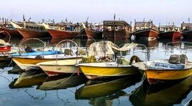هوشمندسازی بنادر ماهی‌گیری کشور

