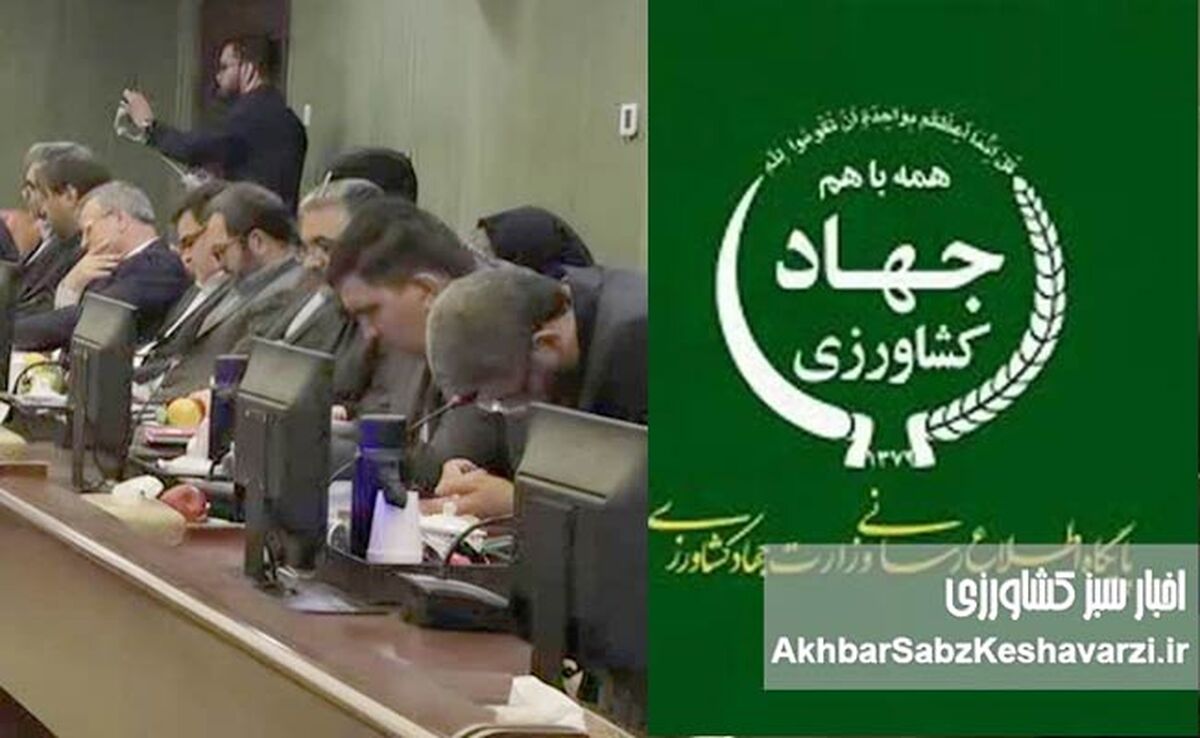 عکس برگزیده سال و تقدیر فائو از مدیر روابط‌عمومی وزارت جهاد کشاورزی