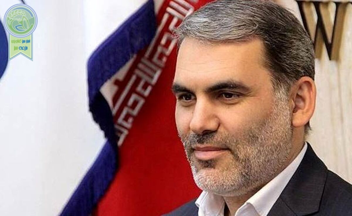 قطع برق چاه‌های کشاورزی ثمره تصمیمات غیرکارشناسی است

