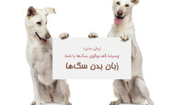 چگونه زبان بدن سگ‌ را بفهمیم؟