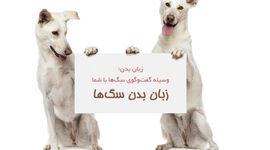 چگونه زبان بدن سگ‌ را بفهمیم؟