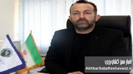 نهاده ارزان بود،اما اجازه ندادند وارد شود+ ویدئو