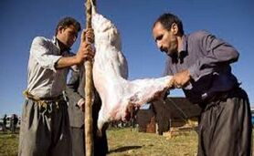 ثبت گوشت تولیدی عشایر به عنوان گوشت سالم

