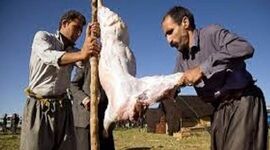 ثبت گوشت تولیدی عشایر به عنوان گوشت سالم

