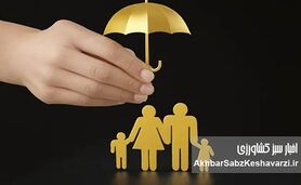 اقتصاد مهربان؛ چرا سرمایه‌گذاری بر کودک، سودآورترین معامله ملی در روزهای سخت است؟