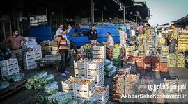میدان میوه؛ سنگر امید در قلب جنگ + روایت تلخ و شیرین
