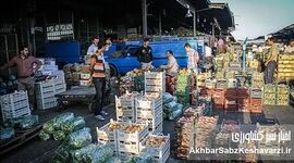میدان میوه؛ سنگر امید در قلب جنگ + روایت تلخ و شیرین