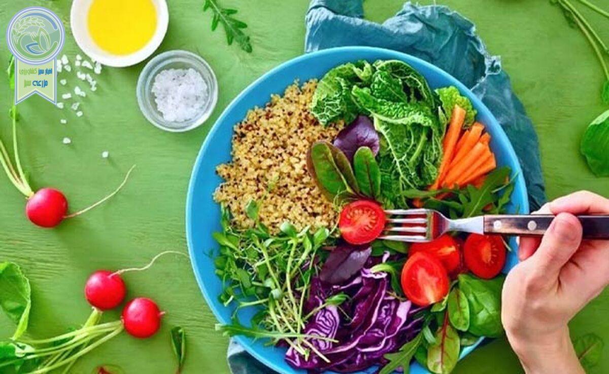 با غذاهای آبرسان به بدن آشنا شوید

