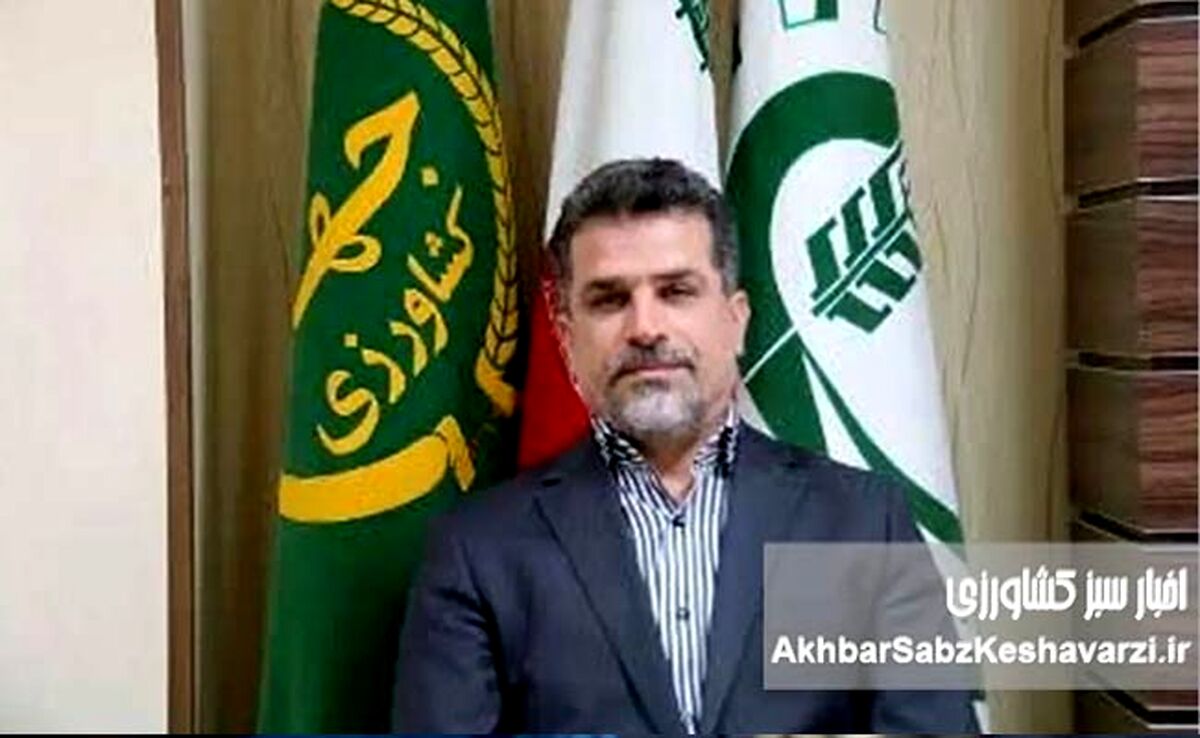 خط قرمز بر دیوارکشی‌های خودسرانه؛ از ابطال ممنوعیت مطلق تا مجازات‌های سنگین حبس