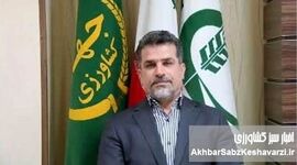 خط قرمز بر دیوارکشی‌های خودسرانه؛ از ابطال ممنوعیت مطلق تا مجازات‌های سنگین حبس