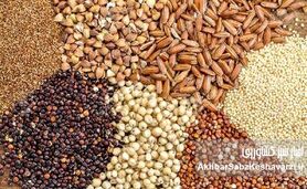 گروه مدلل در مسیر تهدید امنیت غذایی