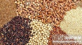 گروه مدلل در مسیر تهدید امنیت غذایی