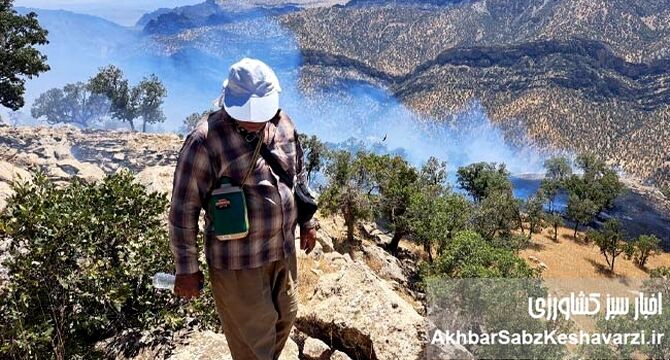بهار پربارش زاگرس؛ آیا در انتظار یک فاجعه آتش‌سوزی هستیم؟