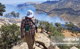 بهار پربارش زاگرس؛ آیا در انتظار یک فاجعه آتش‌سوزی هستیم؟