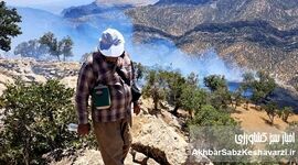 بهار پربارش زاگرس؛ آیا در انتظار یک فاجعه آتش‌سوزی هستیم؟