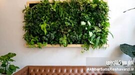 تزیین خانه با گیاهان طبیعی  