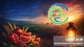 یلدایی به بلندای صبر زمین؛ «اخبار سبز» در کنار کشاورزان ایران