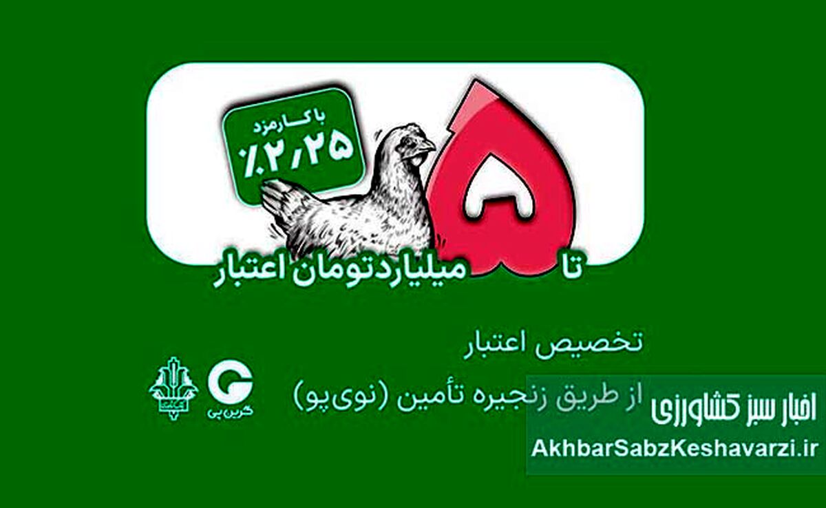 تامین مالی زنجیره مرغ با اعتبار ۵ میلیاردی بانک کشاورزی