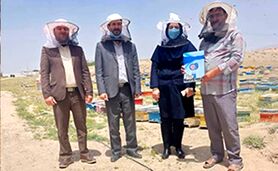 زنبوردار نهاوندی رکوددار تولید عسل+ ویدئو

