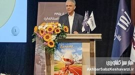دکتر زاغری عنوان کرد: تخم‌مرغ چگونه به سلاح ضدسرطان بدل می‌شود؟