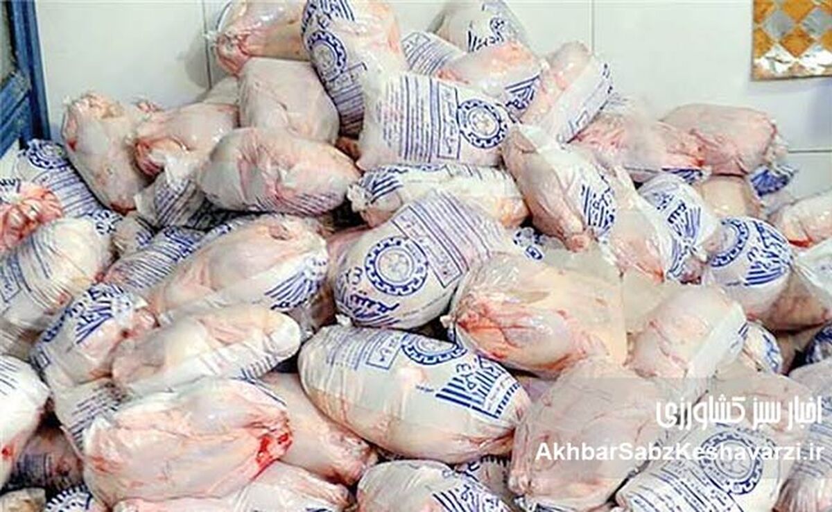 ابهام در ماجرای مرغ‌های تاریخ‌مصرف‌گذشته؛ از ادعای فروش غیرقانونی تا حذف معاون ضدفساد دامپزشکی